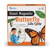 STG_Magnetic Butterfly Life Cycle Demonstration Set
